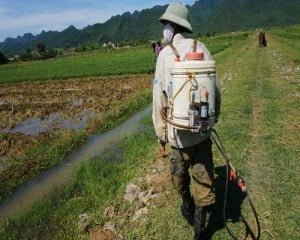 binh phun thuoc tru sau bang ac quy