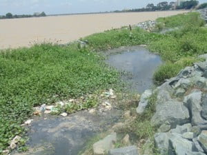 o nhiem o du an lan song dong nai